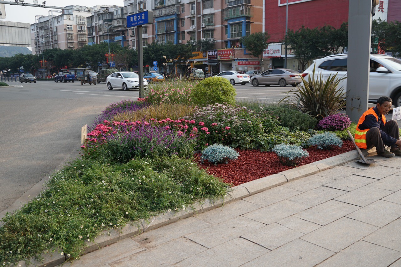 资阳松涛路一段十字路口的绿化增加了更多的