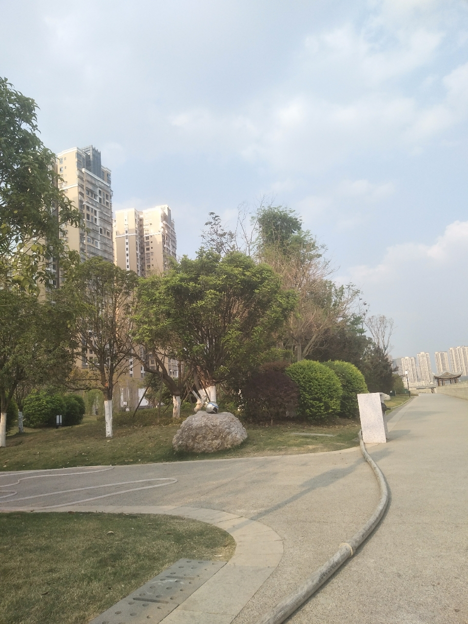 资阳青年林河堤今昔两重天,很有森林感!下班就想去散散步