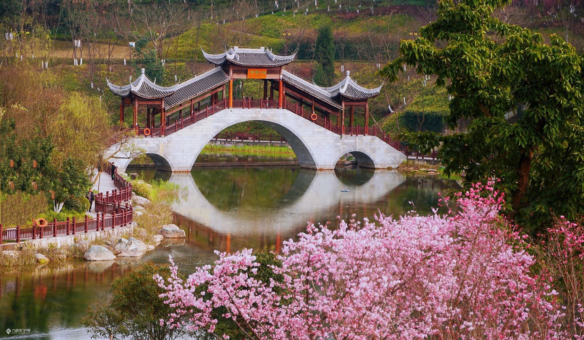 画在春天里的资阳凤岭公园亭台楼阁繁花盛开好美丽