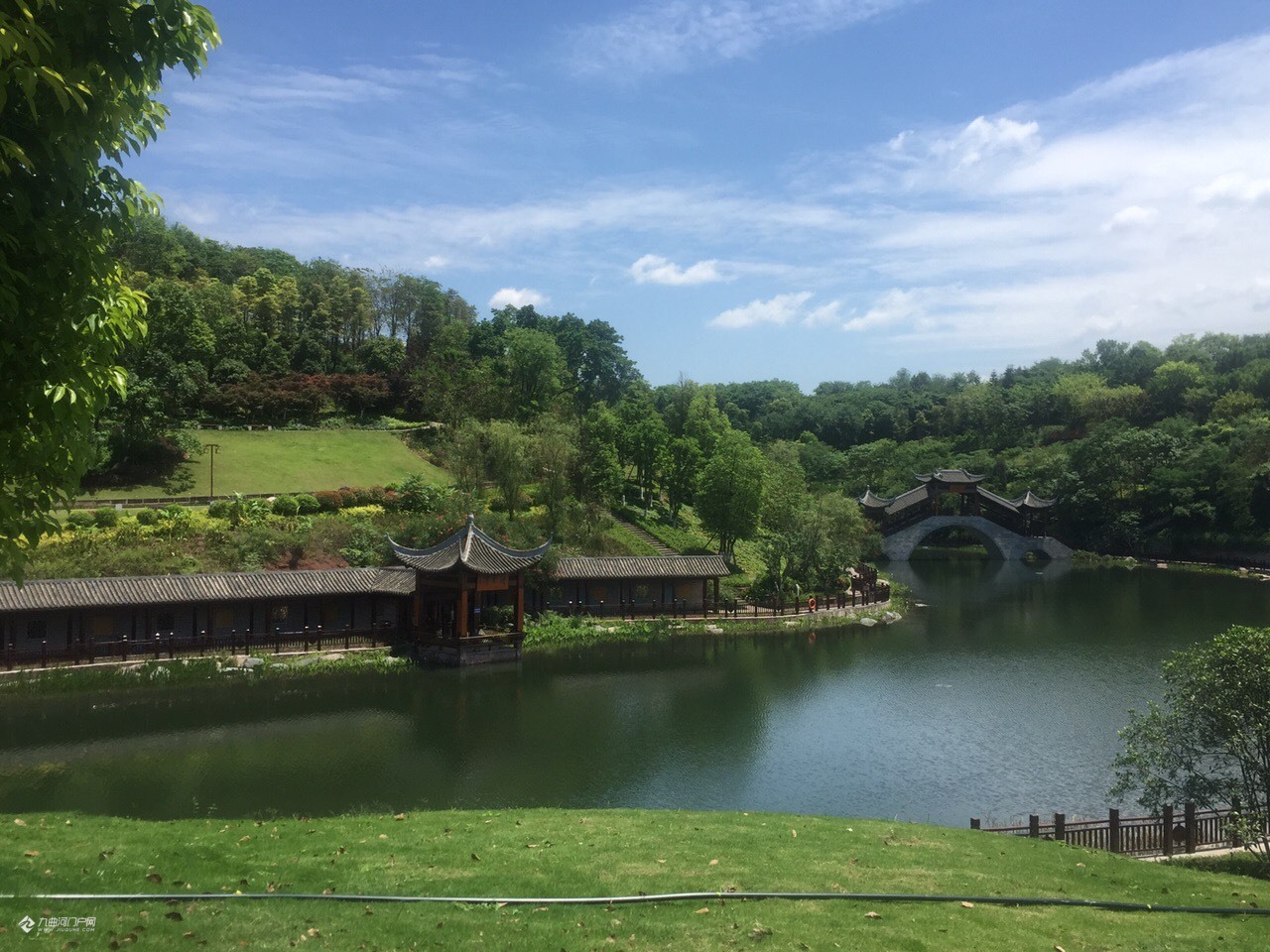 资阳凤岭公园的睡莲开的太美了,就是要趁着天气好的时候来!