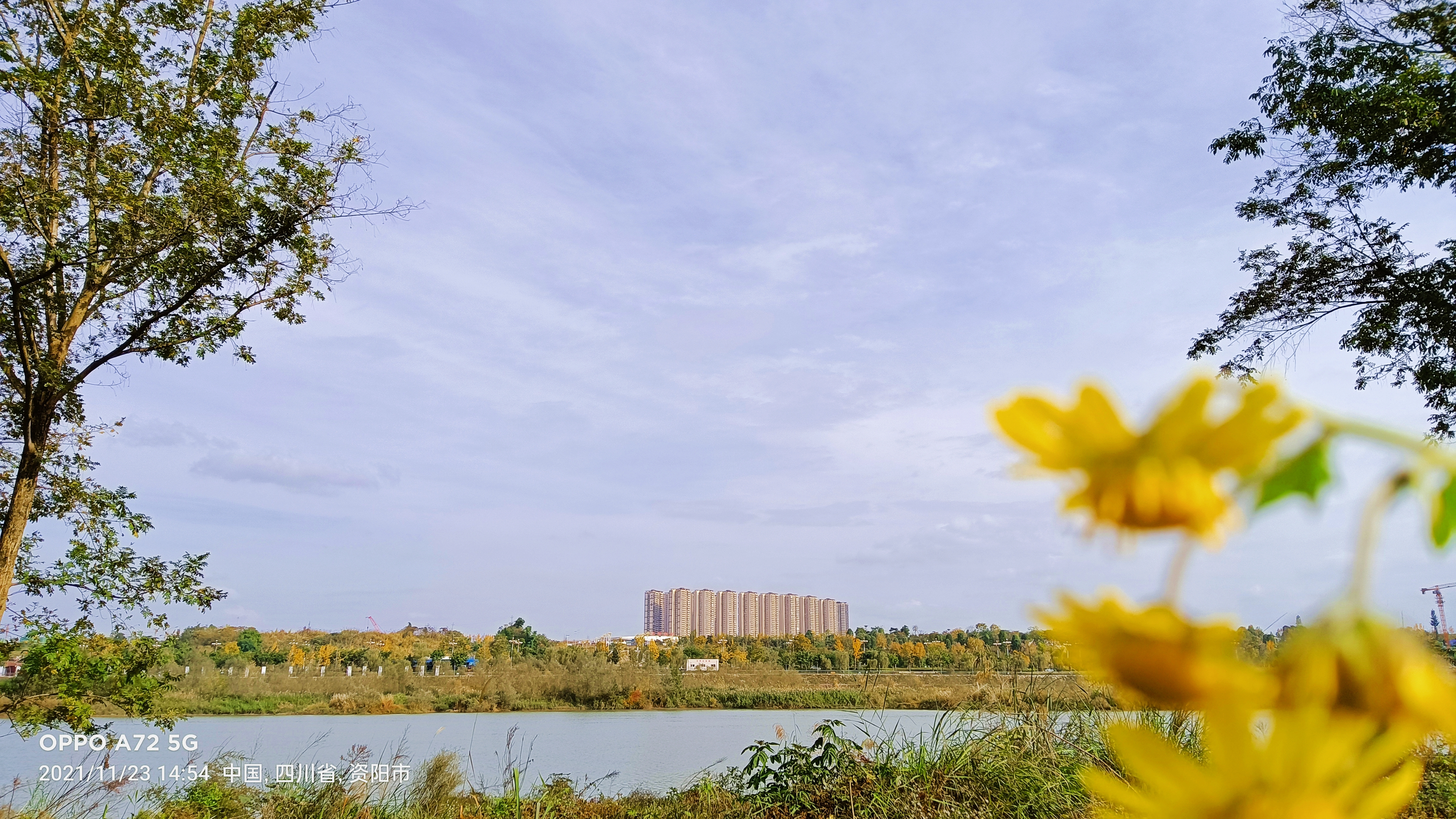 美丽的资阳青年林!一路延着沱三桥河边欣赏美景,晒着灿烂的阳光.