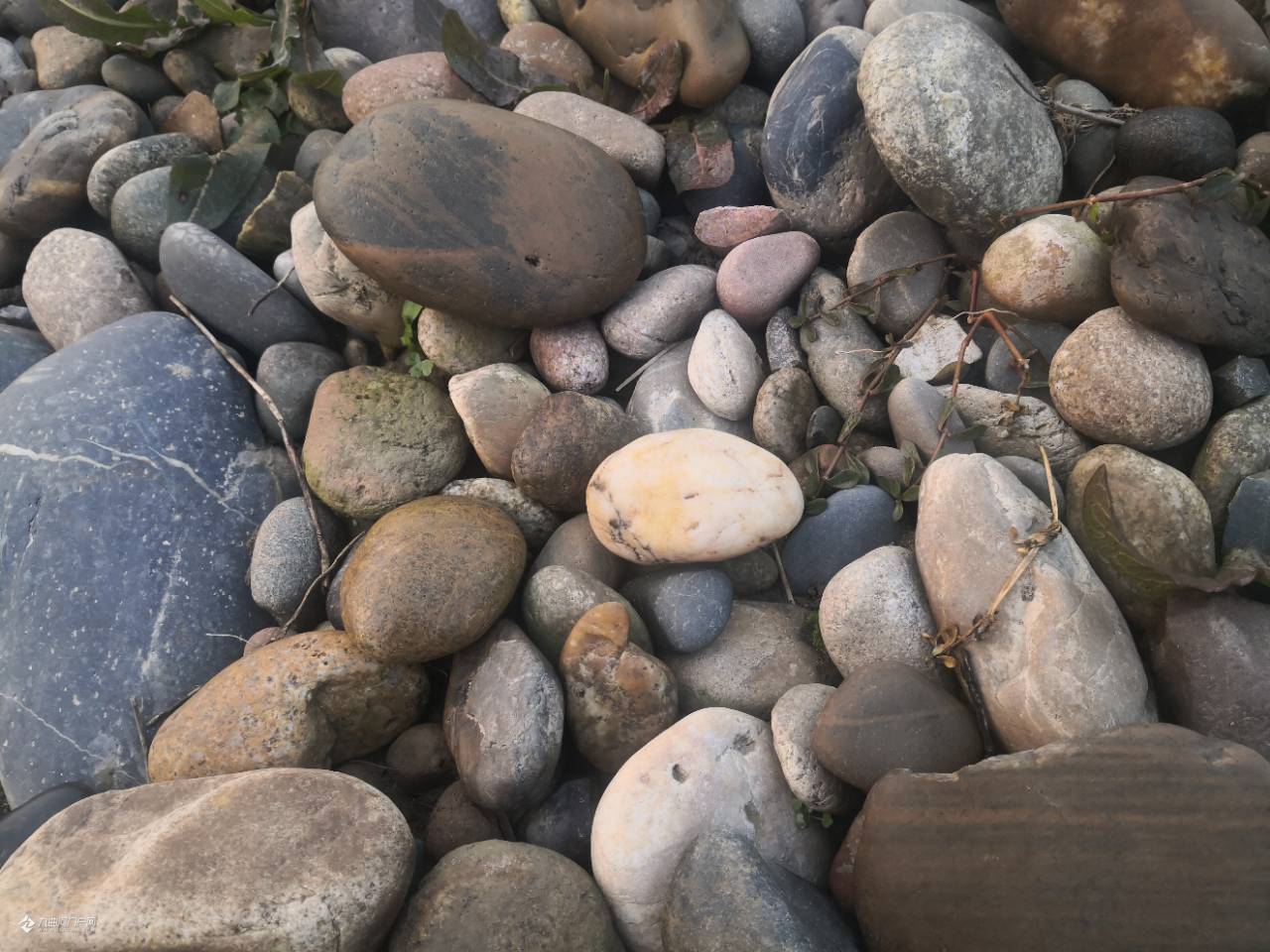 资阳的宝石滩,您去免费按摩过吗?