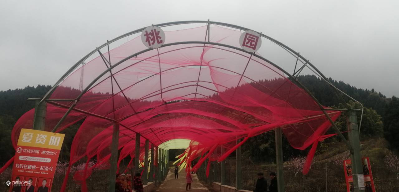 资阳九曲禾川的桃花有些已经盛开有些还是花骨朵拍几张供大家欣赏