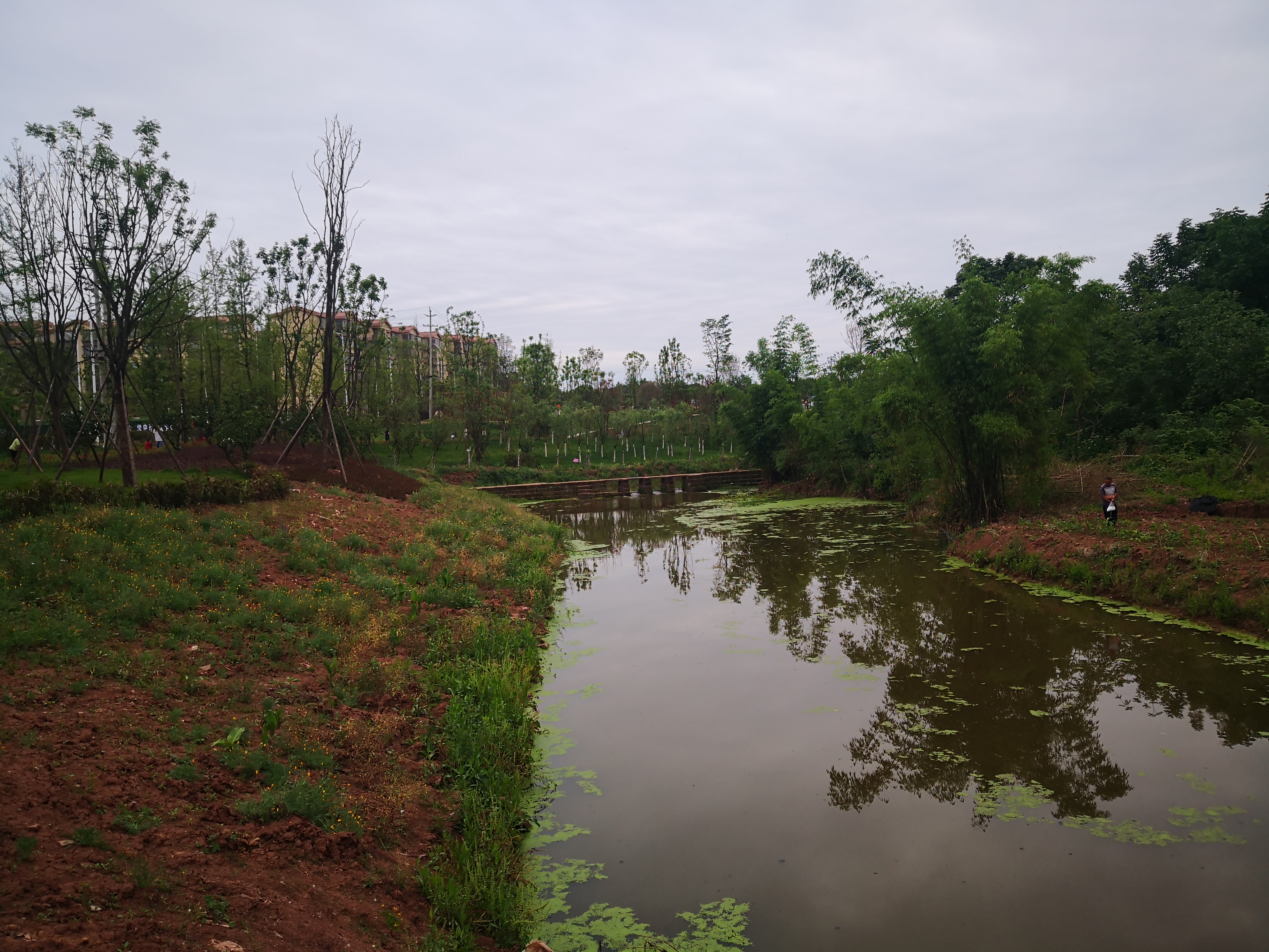 资阳中和镇新面貌!设计师还是有点底蕴的.