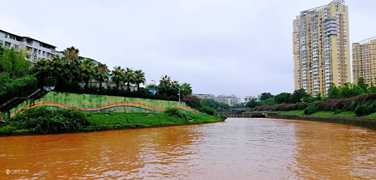 昨夜一场酣畅淋漓的大雨,涨水的资阳九曲河看上去更美更舒心!