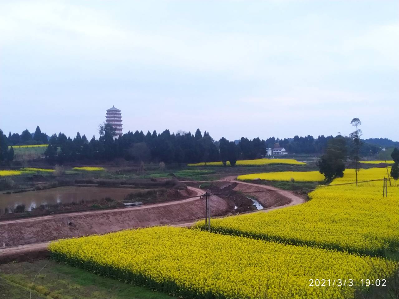 资阳丹山白塔图片